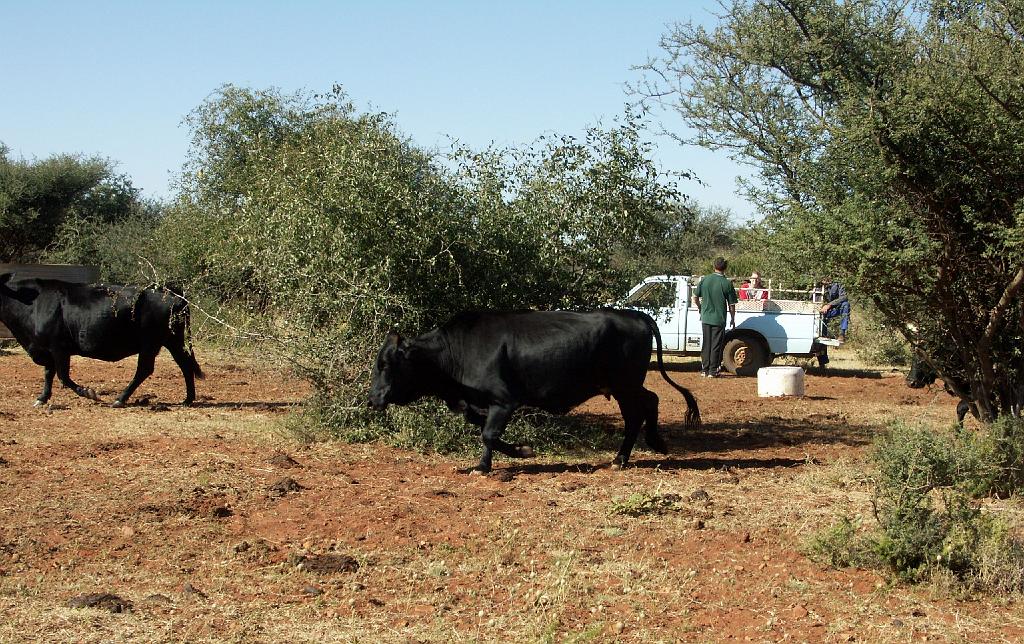 090509_South_Africa 215.jpg